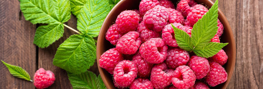 Cétones de framboises en sachet